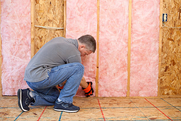 Best Radiant Barrier Insulation  in Clarksville, VA